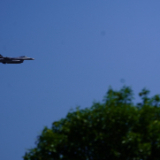 DSC09695-CROP.jpg