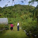 Greenhouse-1.jpg
