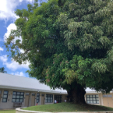 Saipan-chapel-dedication-2023