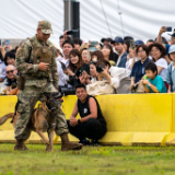Picture-Canine-Unit-B.jpg