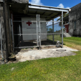 Red-Cross-Saipan-2023