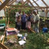 kosrae-greenhouse-1.jpg
