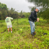 missionaries-planting-trees