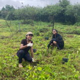 Missionaries-plant-trees